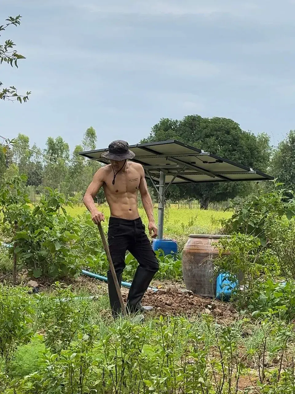 อ้าย..ชอบทำสวน