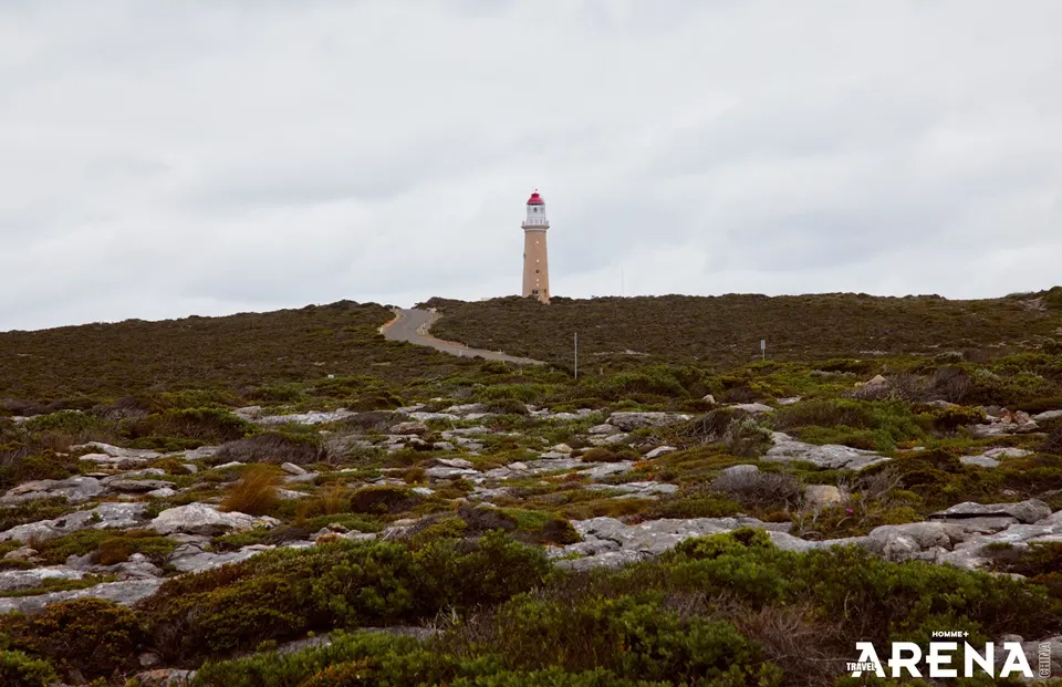 Liu Xueyi @ Arena HOMME+ Travel China December 2025