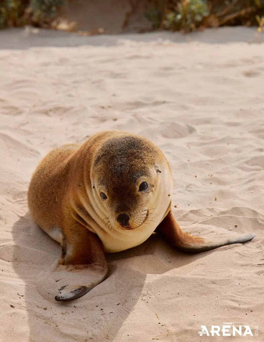 Liu Xueyi @ Arena HOMME+ Travel China December 2025