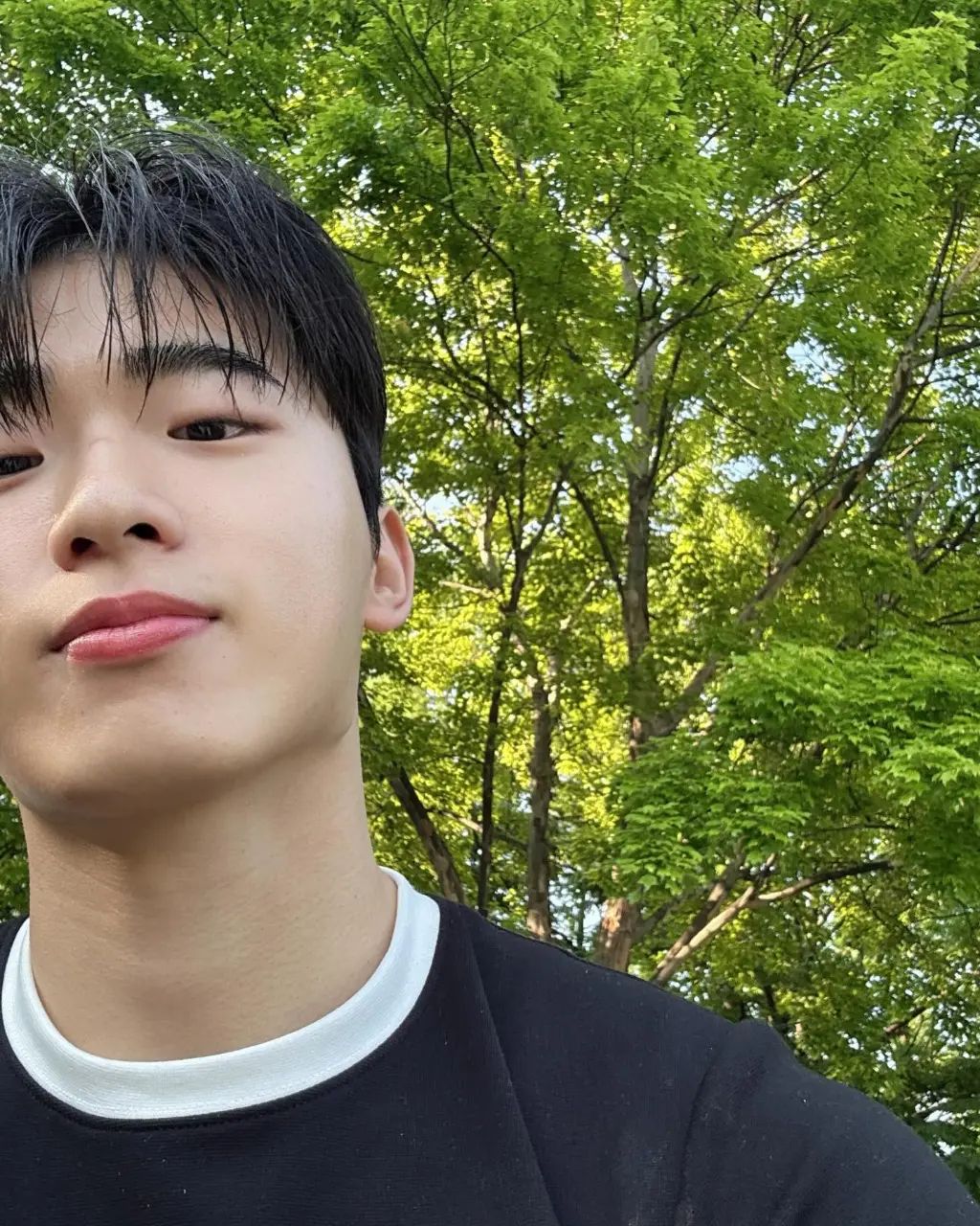 Cool guy : 김보현