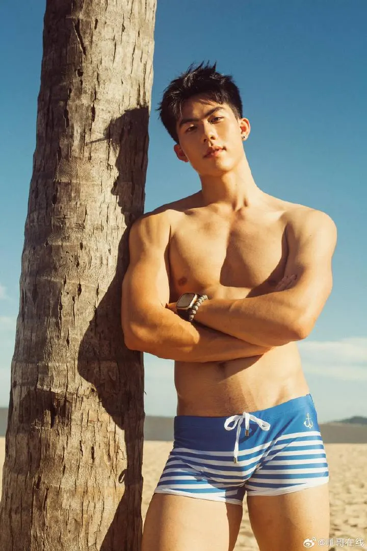 Cool guy : 自由的多比