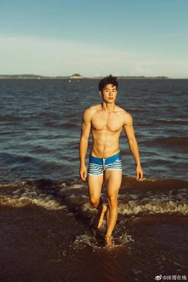 Cool guy : 自由的多比