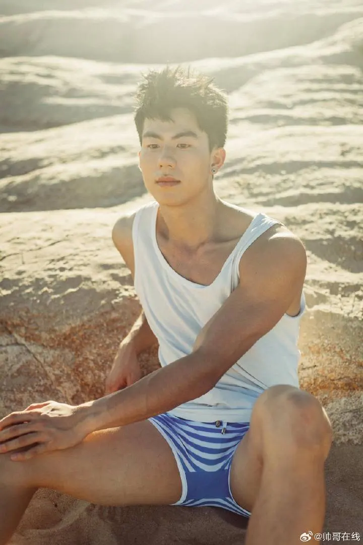 Cool guy : 自由的多比