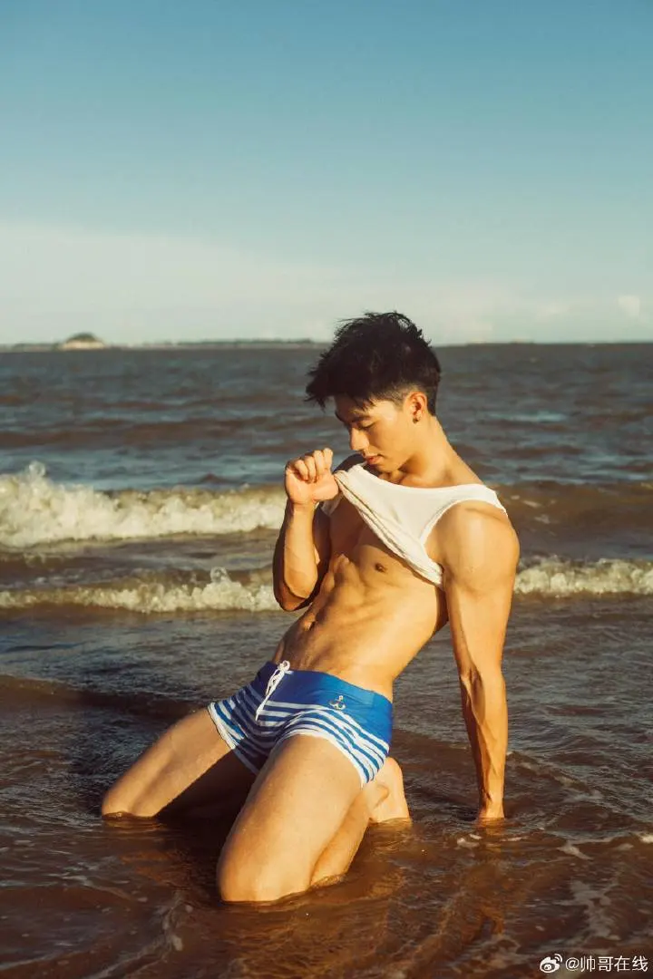 Cool guy : 自由的多比