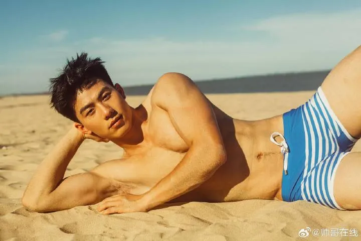 Cool guy : 自由的多比