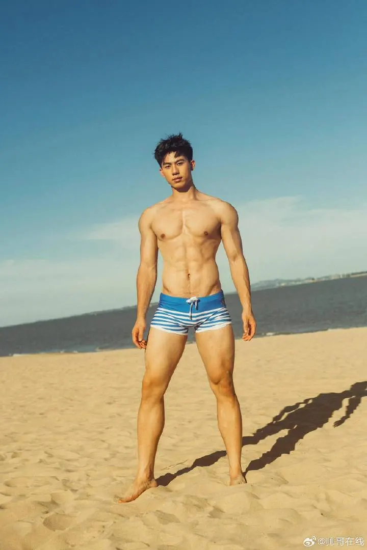 Cool guy : 自由的多比