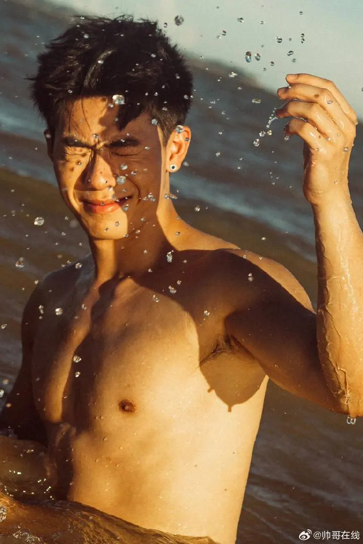 Cool guy : 自由的多比