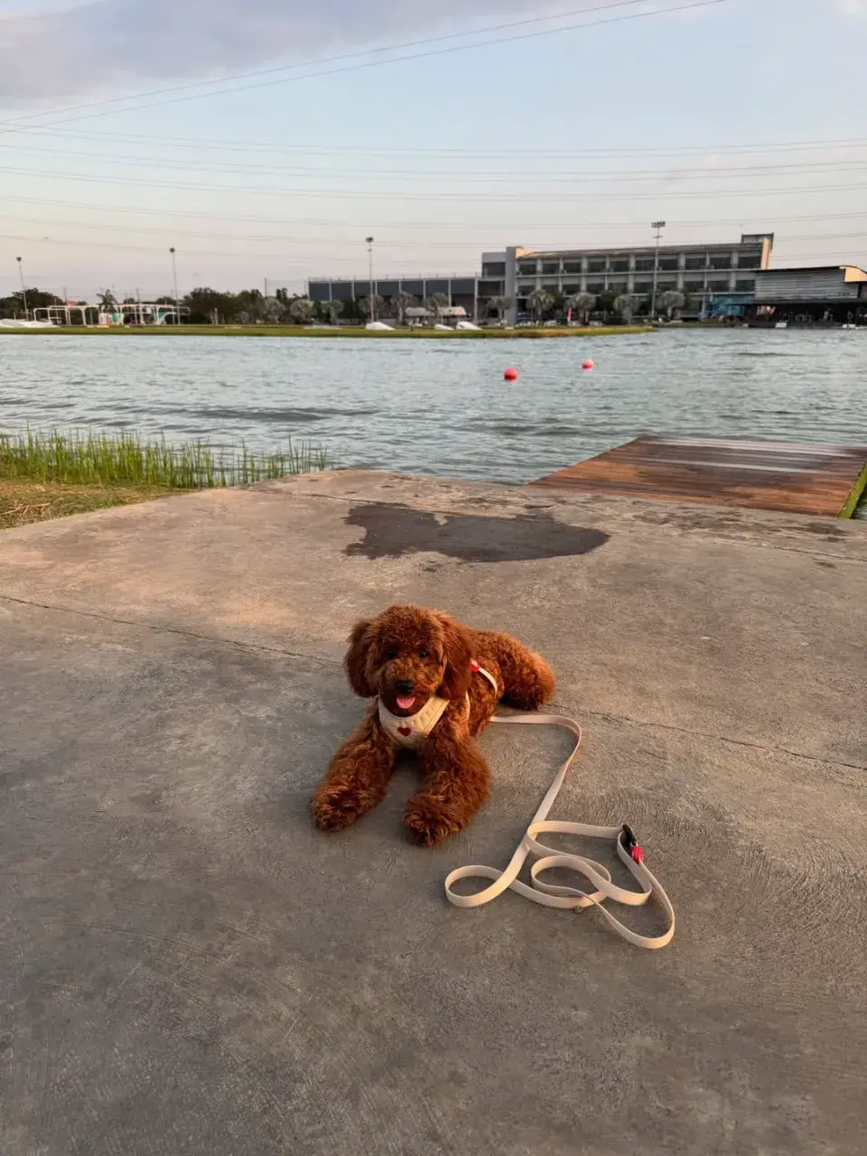 ดูดีน่าค้นหา