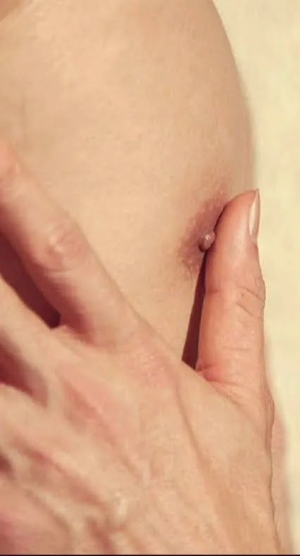 เสร็จเจ็ดยก