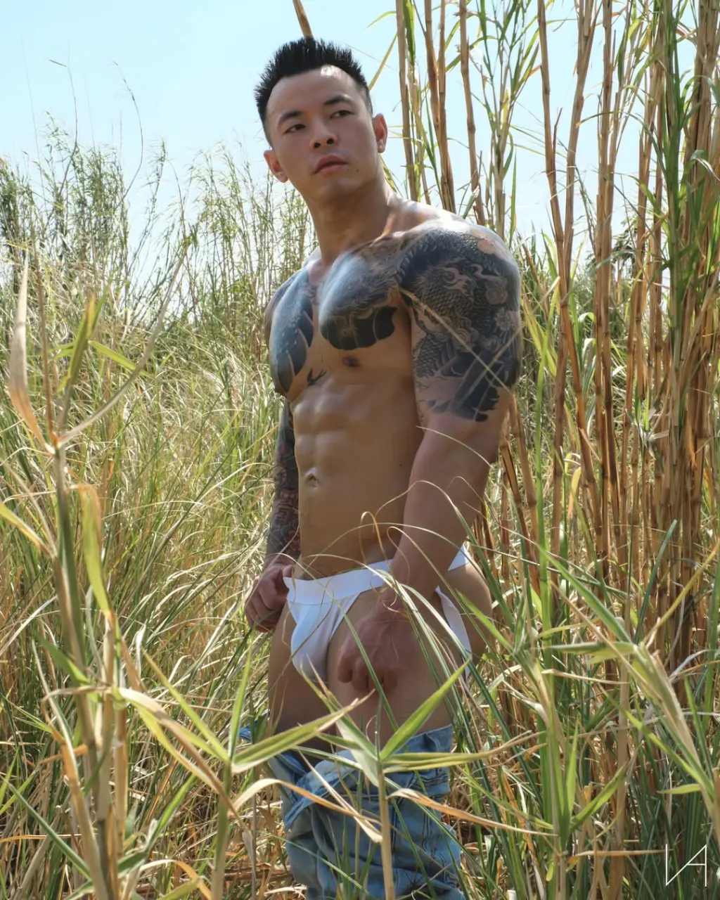 Selected Images from VANVISION photography