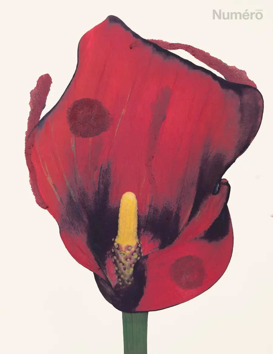 Liu Wen @ Num&eacute;ro China Spring 2026