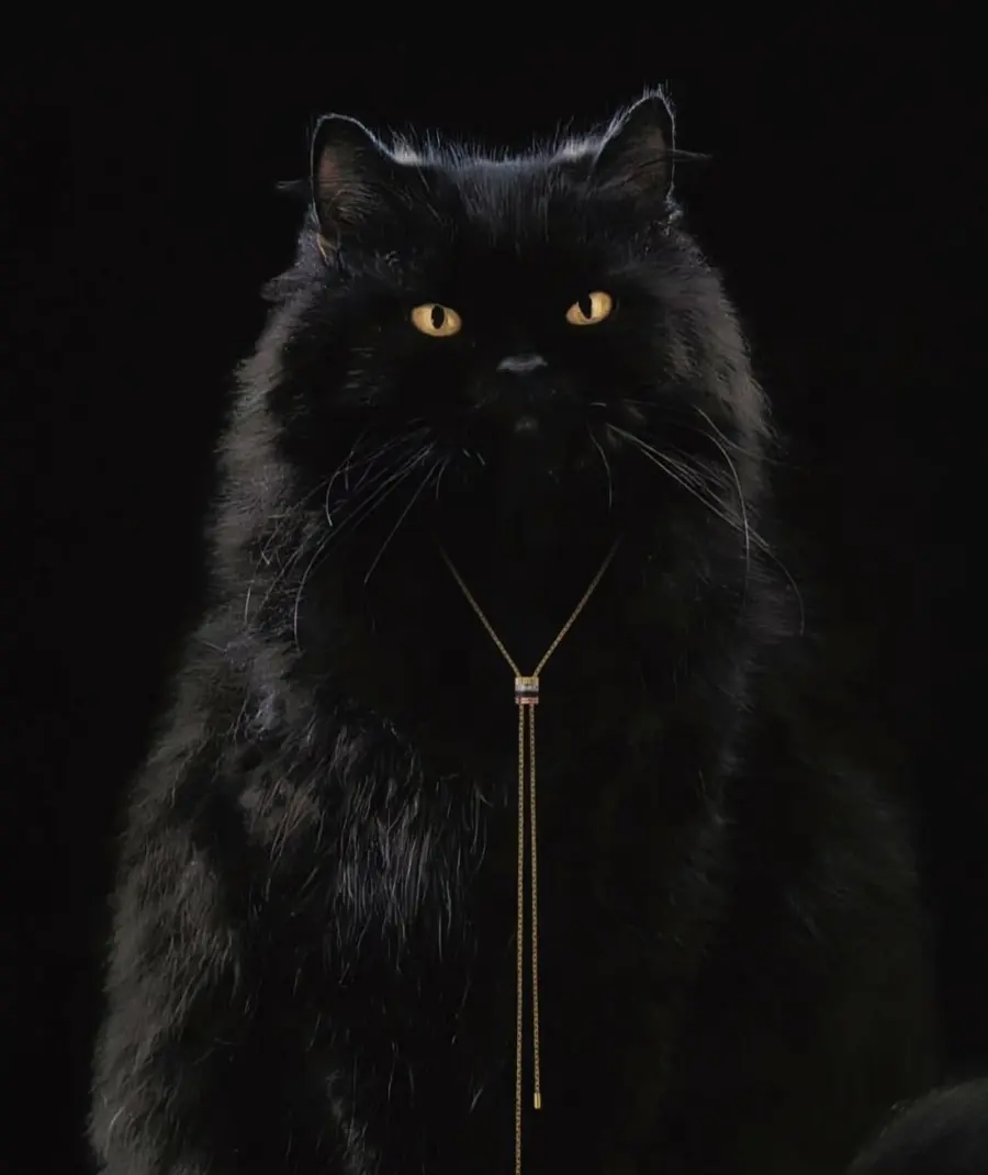 (Stray Kids) Lee Know @ NYLON Japan April 2026