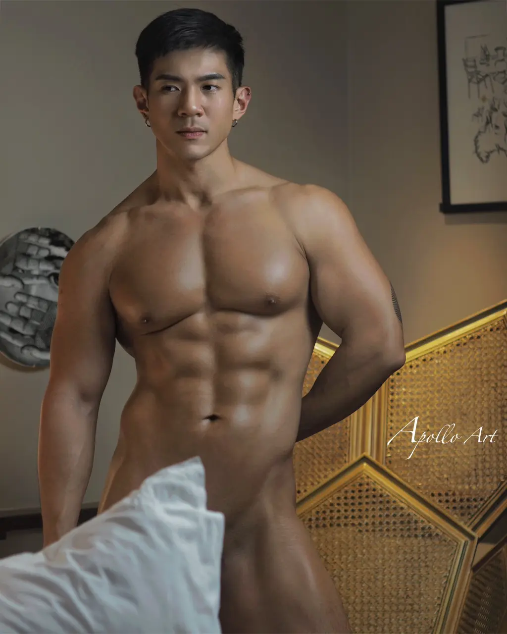 Selected Images from ApolloArt