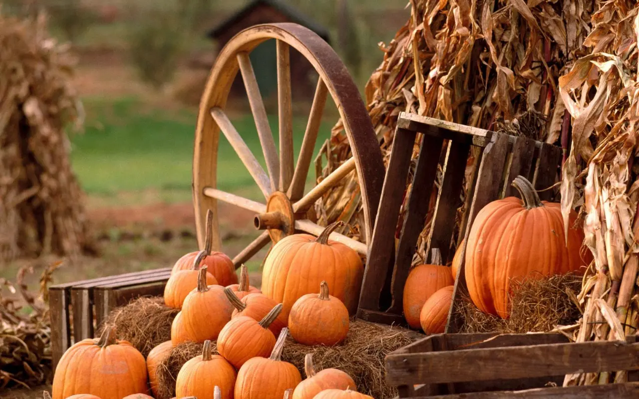 วอลสมัยก่อน