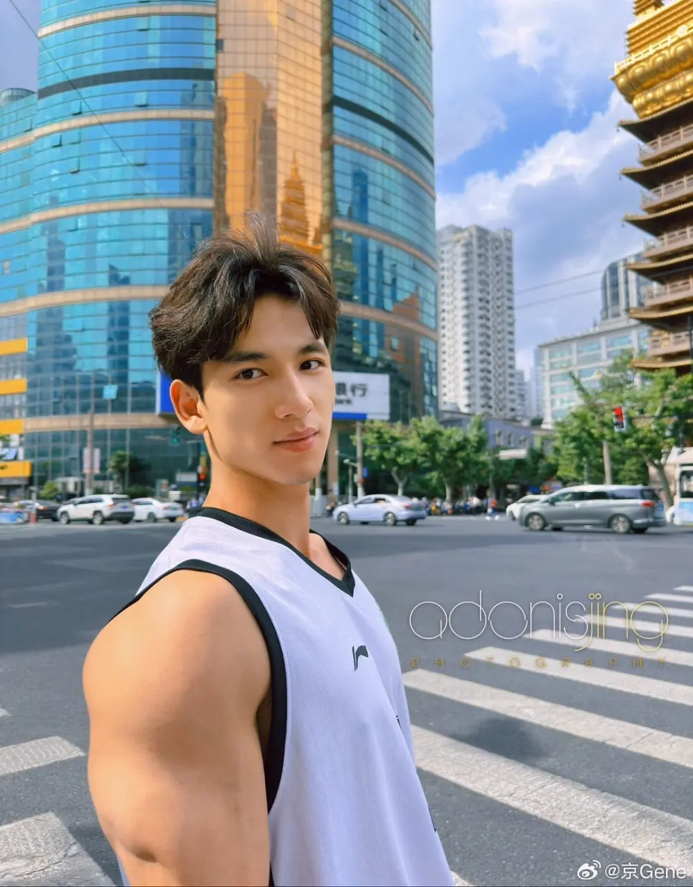 Adonisjing Model : Shaokang Wei