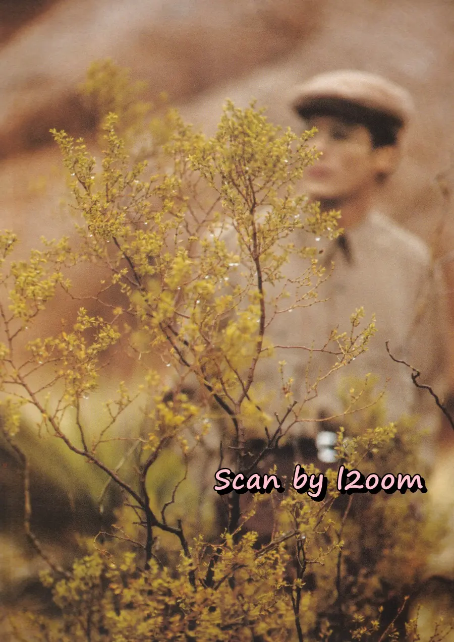 (วันวาน) IMAGE vol.6 no.5 May 1993