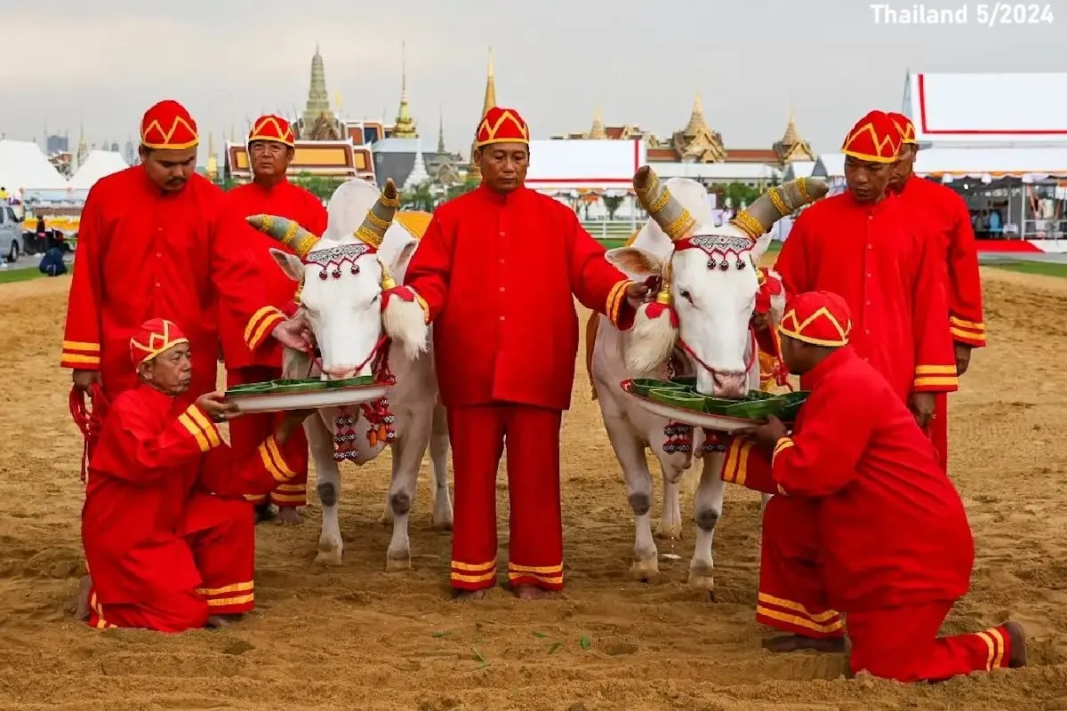 Thai Royal Ploughing Ceremony 2024 🇹🇭