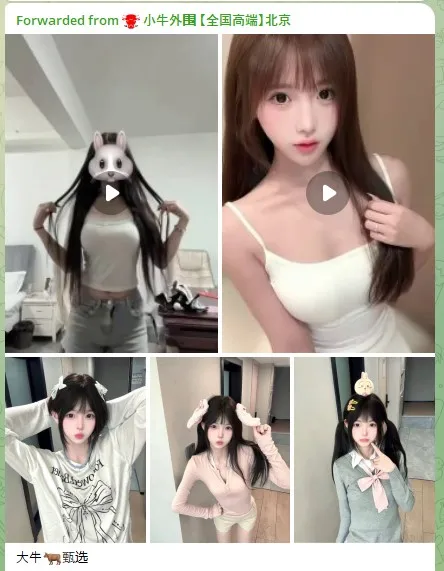 กลุ่ม Telegram ช่องทางติดต่อนางแบบ Top Model