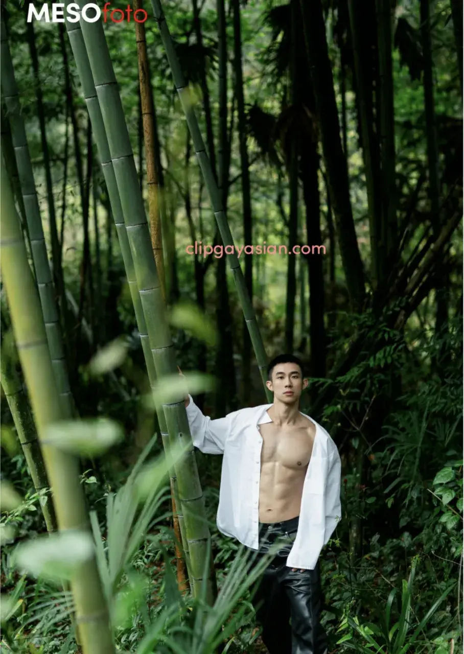 MESO FOTOBOOK ISSUE 06