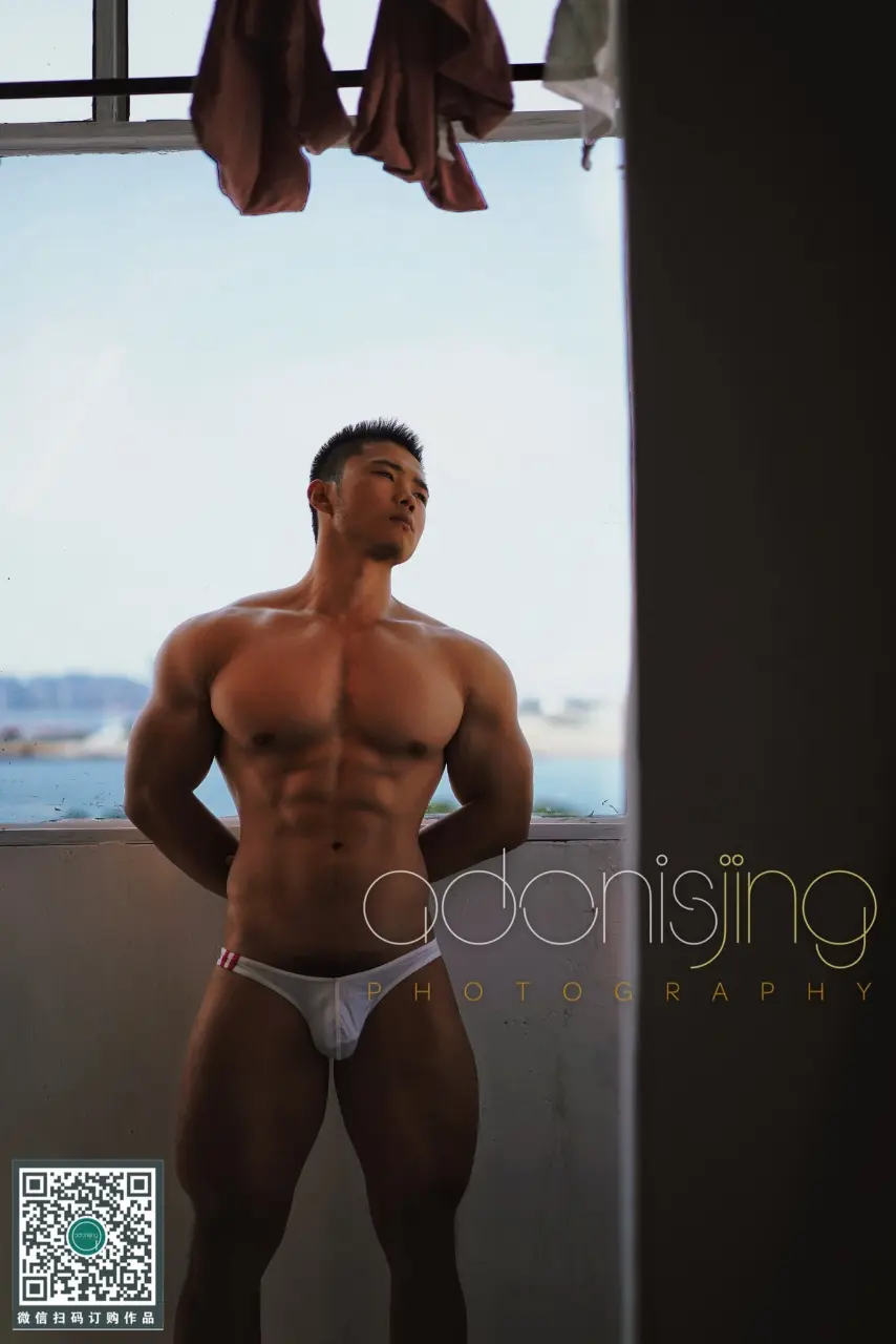 adonisjing model : 一只牛蛙