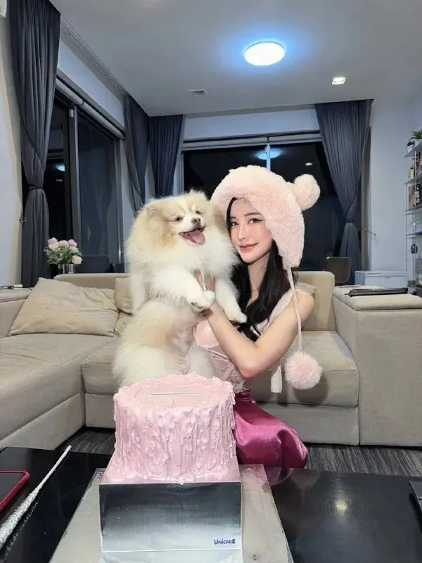 อุ้มหมาปอมสีครีมตัวโต สวมหมวกไหมพรมสีชมพูมีหูหมี บนโต๊ะมีเค้กสีชมพู