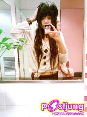 ต้นปาล์ม