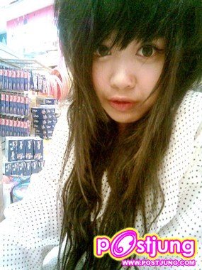 ต้นปาล์ม