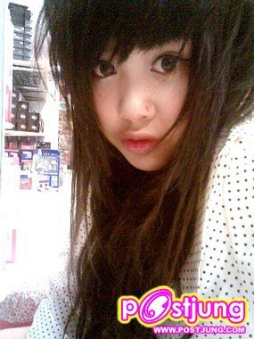 ต้นปาล์ม