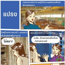 +แปรง!!!!+