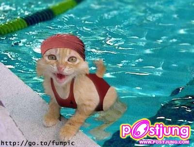 เราน่ารักกว่าอีก เซ็กซี่กว่าด้วย ว่ามั๊ย