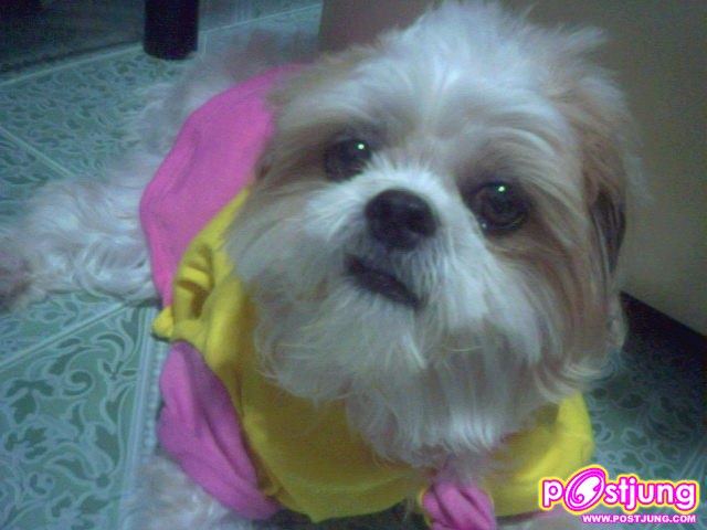 หมายังดูดีก่านะ