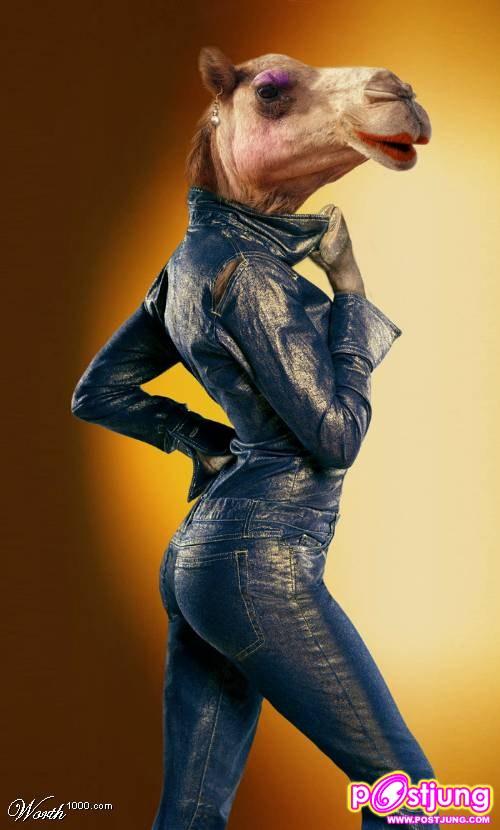 รวม นางแบบที่ เซ็กซี่ที่สุดในโลก