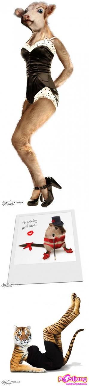 รวม นางแบบที่ เซ็กซี่ที่สุดในโลก