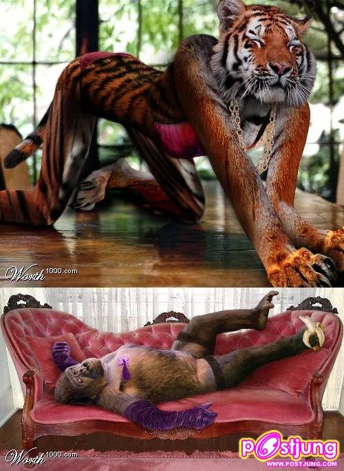 รวม นางแบบที่ เซ็กซี่ที่สุดในโลก