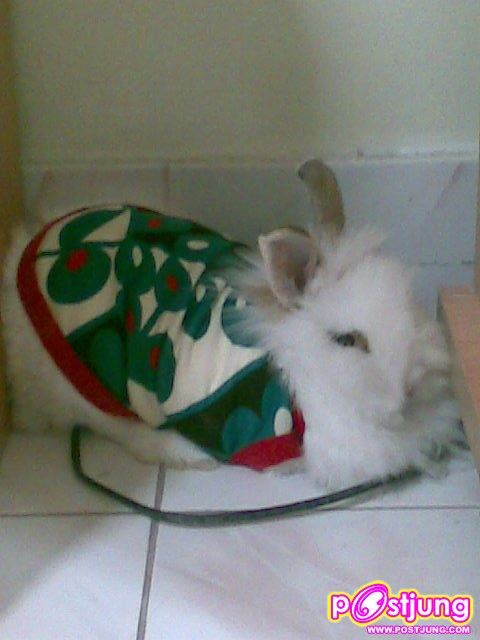 น่า...มาก