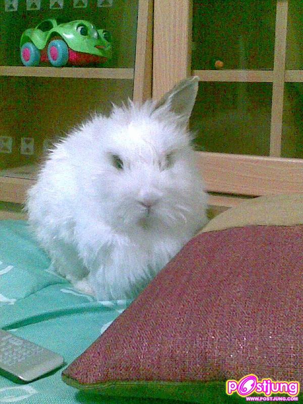 อย่ามาใกล้นะ