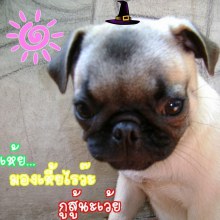 หล่อป่ะ