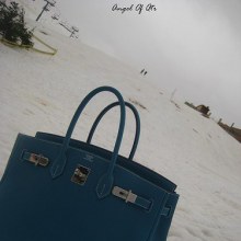 hermes birkin