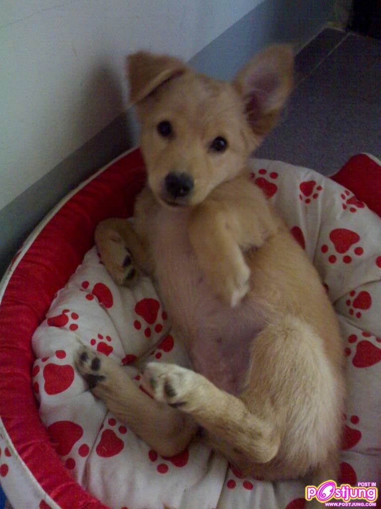 รูปนี้แอ็คท่าเอง