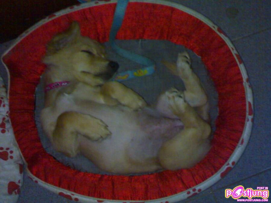 ชอบนอนหงายค่ะ