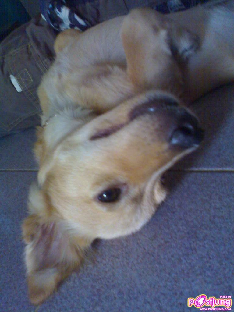 นอนหงายอีก