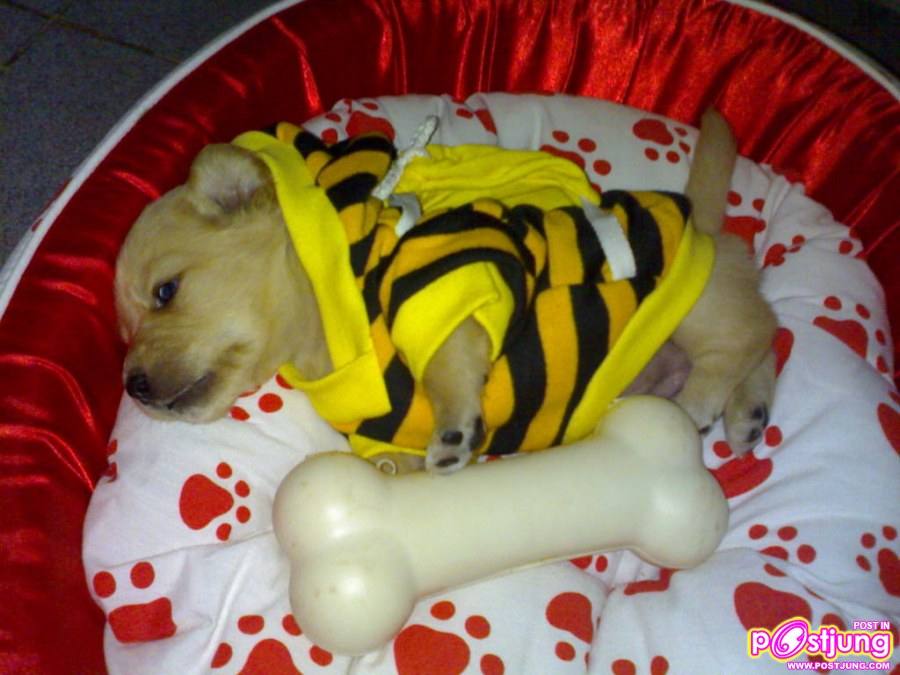 ตอนหนูยังเด็ก