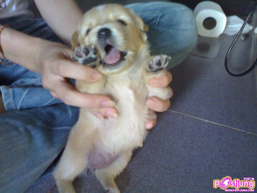 ฮะฮะ น่ารักค่ะ