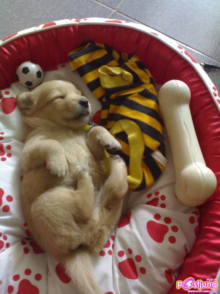 นอนหงายอีกละ