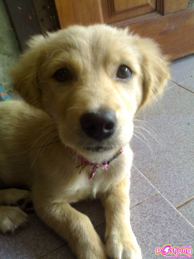 โดนแกล้งอะ เอาเทปใสติดหู