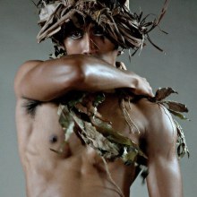 ใบไม้แห้งๆ