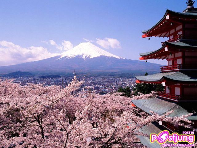 Cherry_Blossoms_And_Mount_Fuji,_Japan
