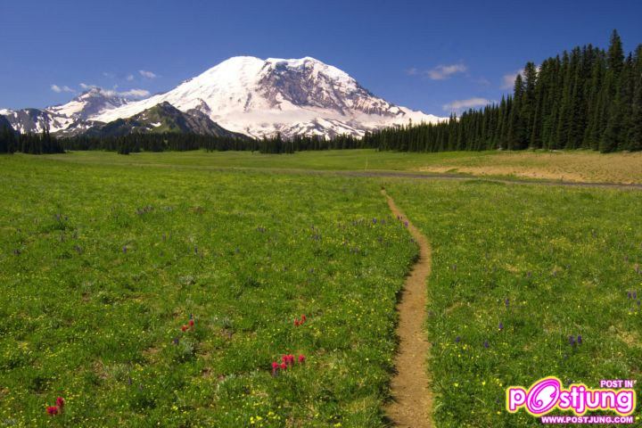 Scenic Trail, Mount Rainier National Par
