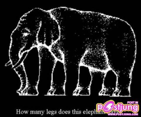 ช้างมีกี่ขาอะ