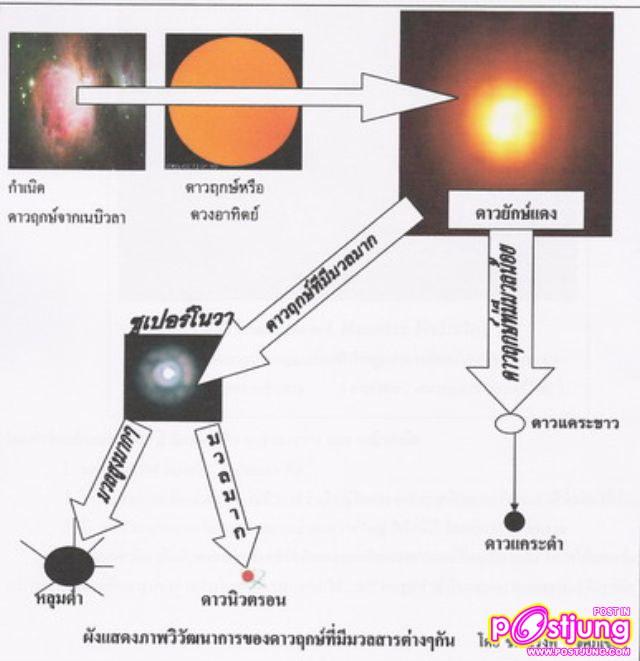 My Image 7